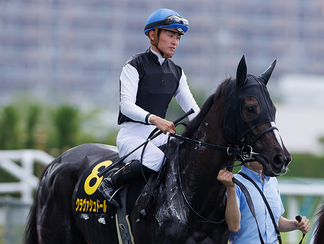 クラヴァシュドール 競走馬データ詳細 Spaia Ai競馬